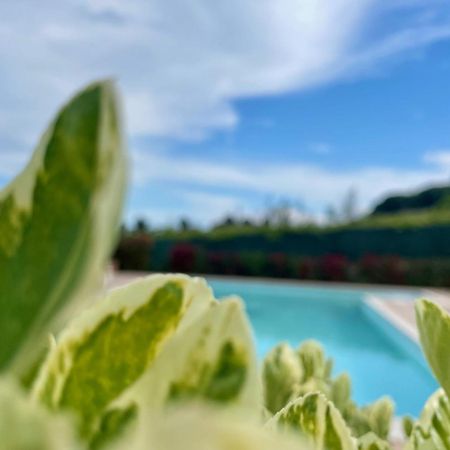 Vigneto - Italian Restaurant & B&B Villa Rosa Di Martinsicuro Dış mekan fotoğraf
