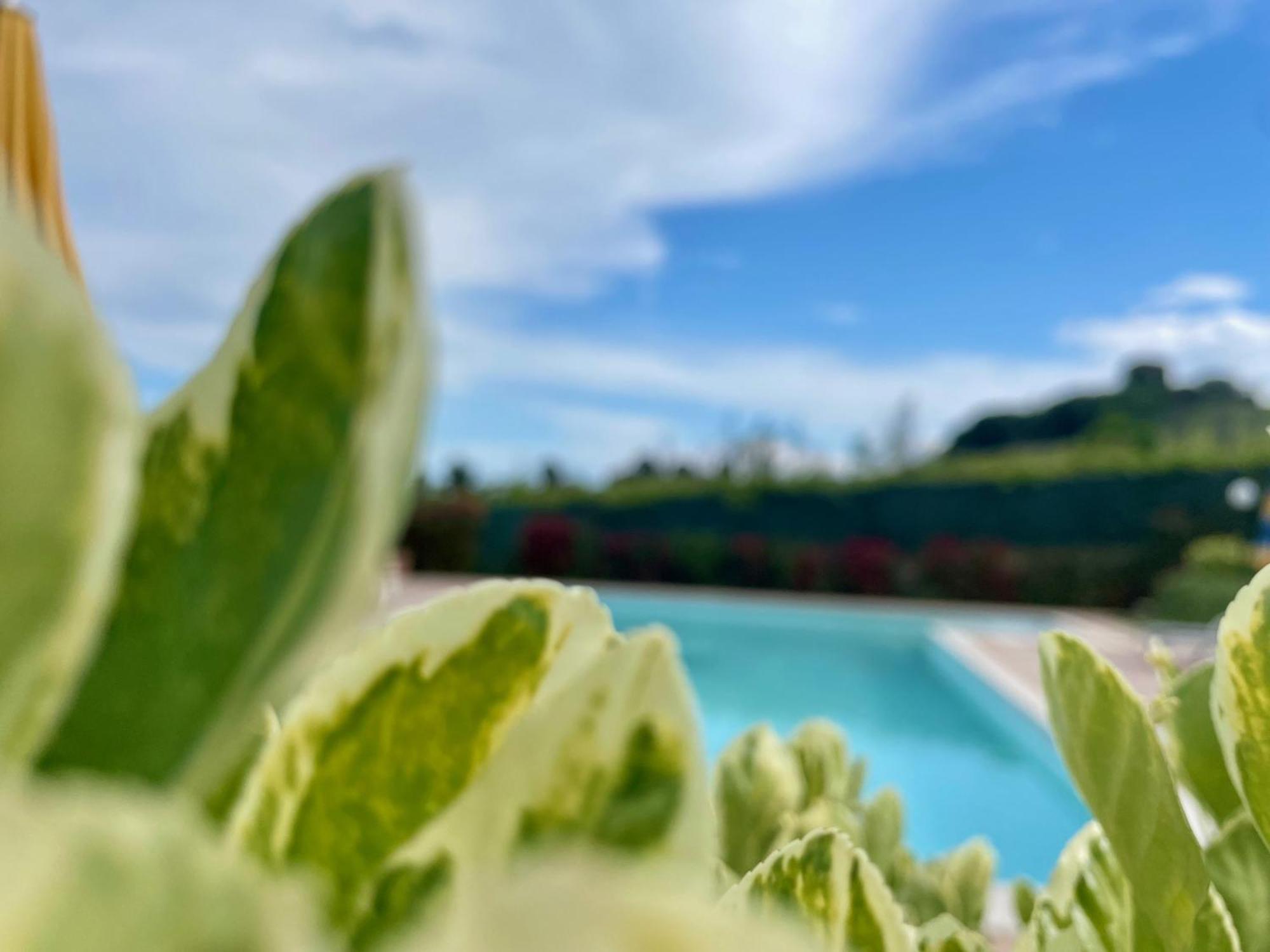 Vigneto - Italian Restaurant & B&B Villa Rosa Di Martinsicuro Dış mekan fotoğraf