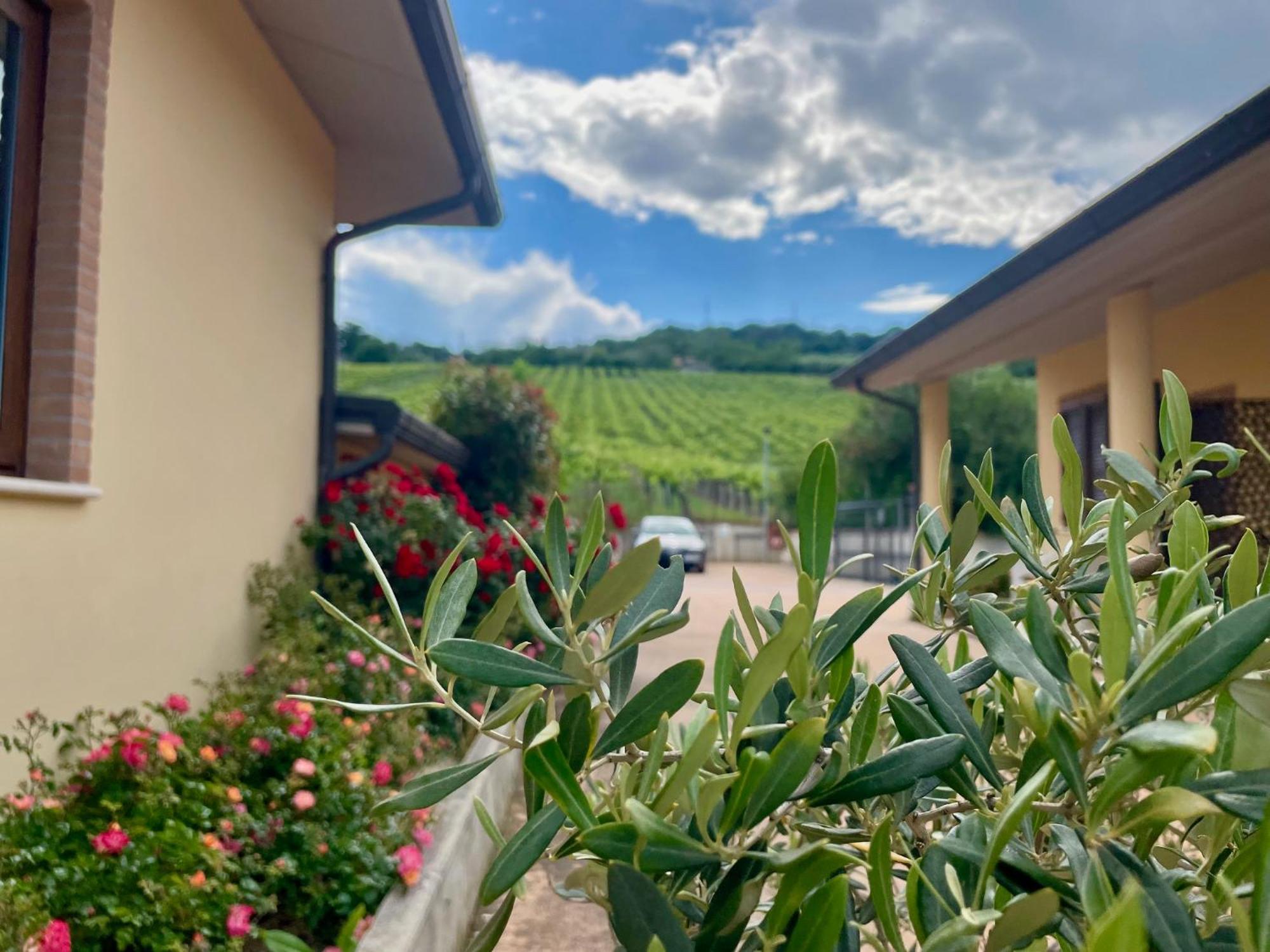 Vigneto - Italian Restaurant & B&B Villa Rosa Di Martinsicuro Dış mekan fotoğraf