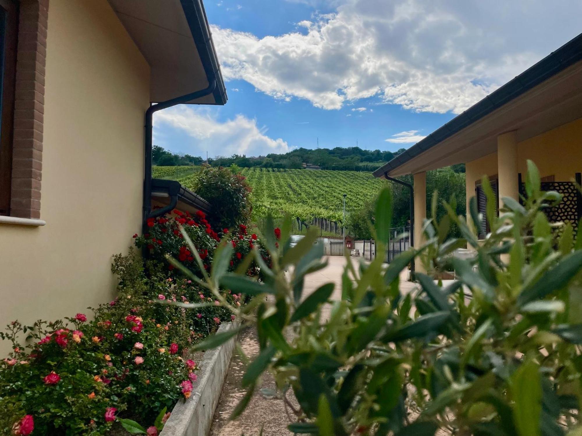 Vigneto - Italian Restaurant & B&B Villa Rosa Di Martinsicuro Dış mekan fotoğraf